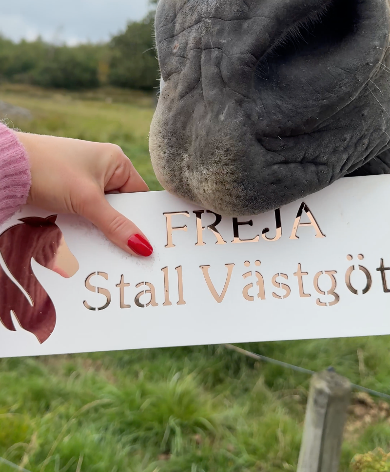 Anpassad NamnSkylt